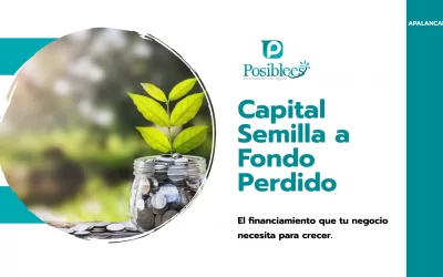 La Consultoría Empresarial ¿qué hace por ti?